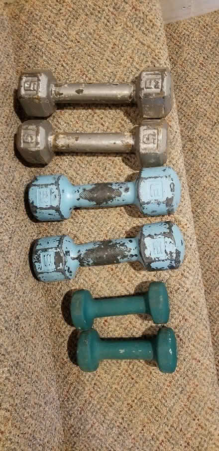 Photo of free Hand held weights (Poughkeepsie/Hyde Park) #1