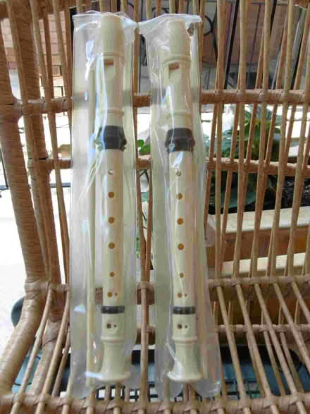 Photo of free Musical recorder (Yonge & Mulock) #1