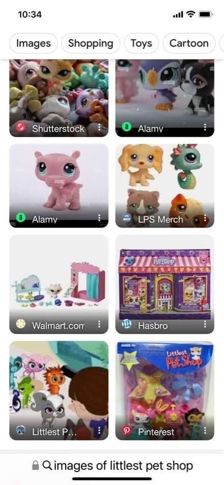 Photo of Littlest Pet Shop Pets (San Mateo) #1