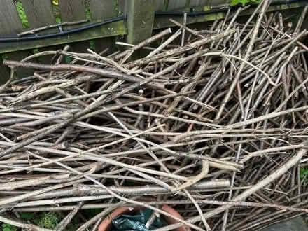 Photo of free Hazel Fencing Sticks (Presteigne LD8) #3