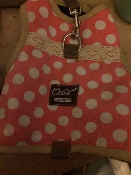 Photo of free Cat harness & bicycle helmet (Costessey NR8) #3