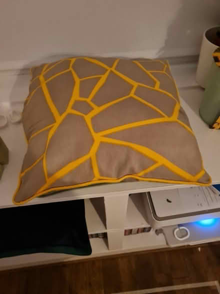 Photo of free Yellow/Grey cushion (Pilrig EH6) #1