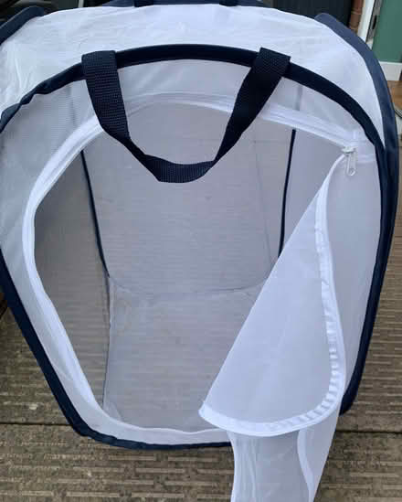 Photo of free Insect House (ST3 Lightwood) #1