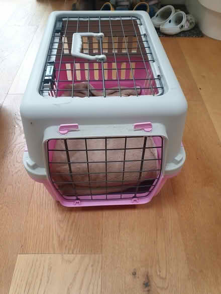 Photo of free Cat carrier (RH1 Redhill, Surrey) #1