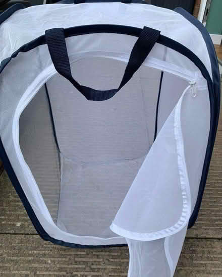 Photo of free Insect House (ST3 Lightwood) #2