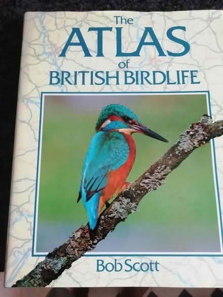 Photo of free Book: Atlas of British Birdlife (Buckhurst Hill IG9) #1
