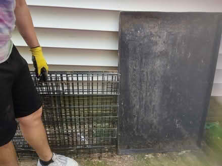 Photo of free Large dog cage (Montgomery Village-Airport) #1