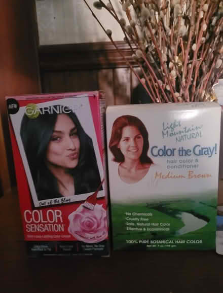 Photo of free Hair color - Blue & Brown (Midtown (95816)) #1