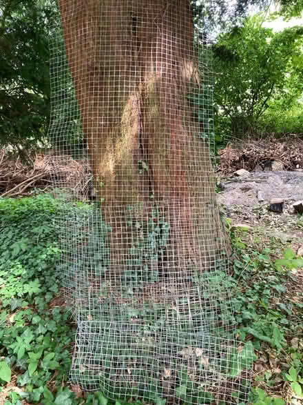 Photo of free Wire panels (Leckhampton) #2