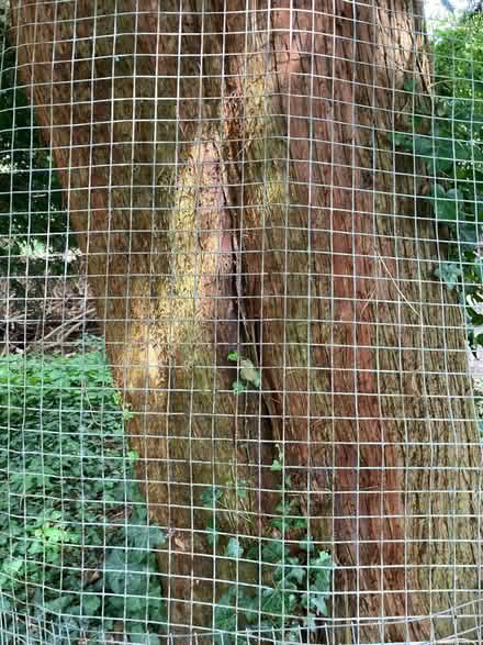 Photo of free Wire panels (Leckhampton) #1