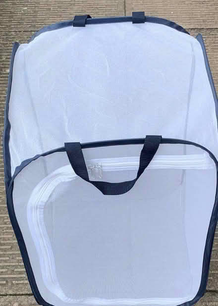 Photo of free Insect House (ST3 Lightwood) #1