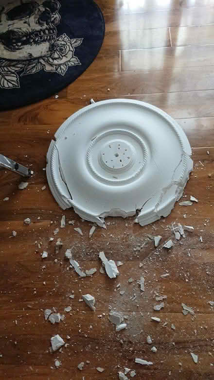 Photo of free Broken ceiling rose (EH12 Saughtonhall) #1