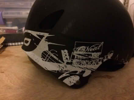 Photo of free Cat harness & bicycle helmet (Costessey NR8) #1