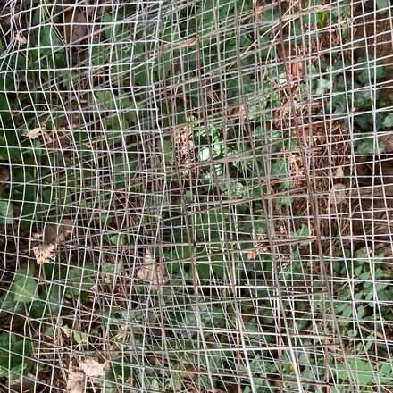 Photo of free Wire panels (Leckhampton) #3