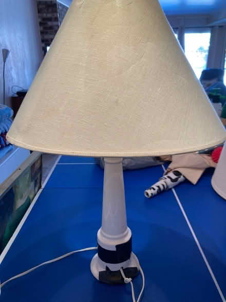 Photo of free Lamp (Fernside) #1
