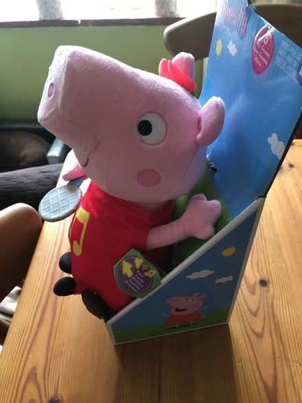 Photo of free Peppa pig toy (Horsham) #2