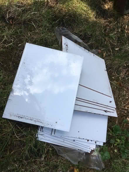 Photo of free 12 tiles (Hertford SG13) #1