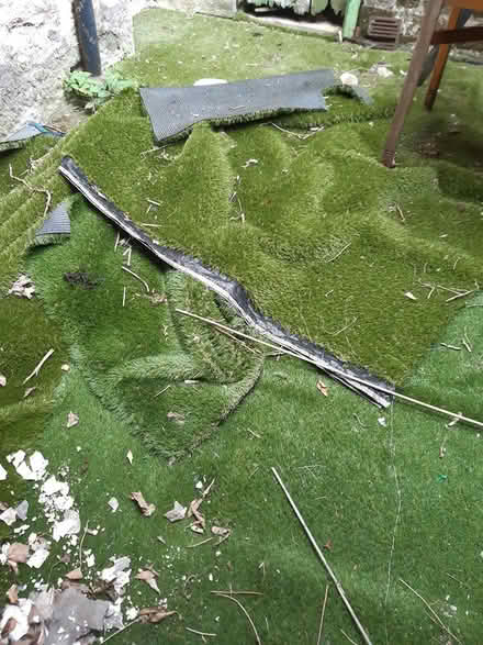Photo of free Artificial grass (Portobello EH15) #1