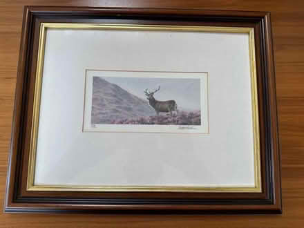 Photo of free Framed print of deer (Charlton OX12) #1
