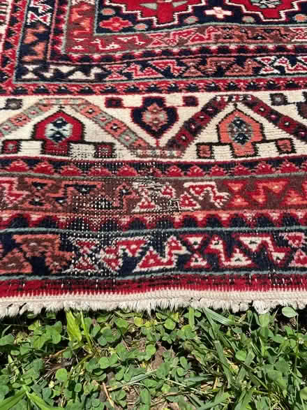 Photo of free Large area rug (Petworth) #2