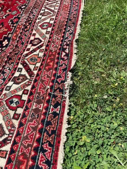Photo of free Large area rug (Petworth) #3