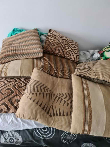 Photo of free 8 Large cushions (Mitcham CR4) #1