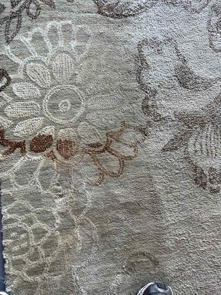 Photo of free Area Rug. 8 X 10 (Wyoming) #1