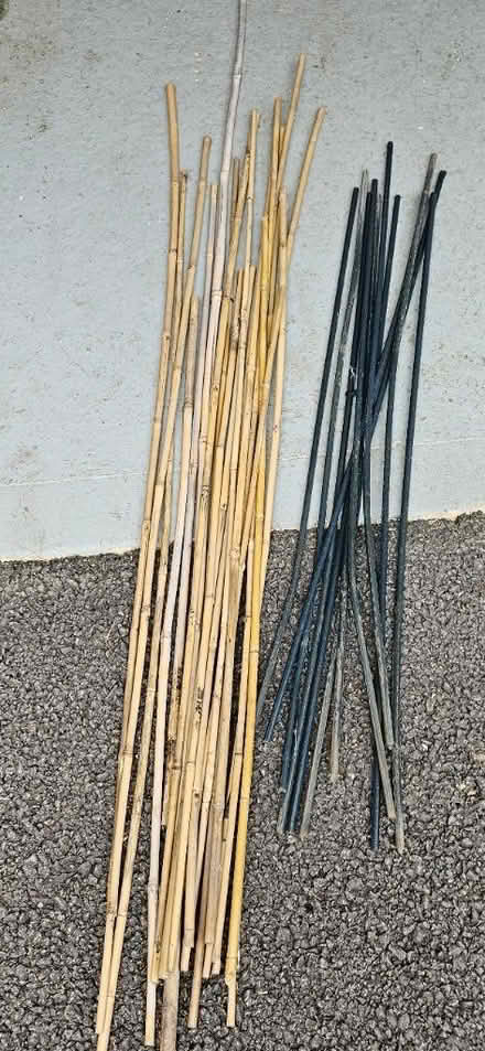 Photo of free Garden canes. Bamboo and metal (Ash, GU12) #1