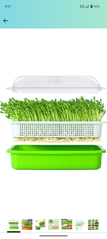 Photo of free seeds sprouter (1533 Templeton Pl) #1