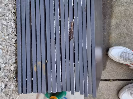 Photo of free Floor tiles (Whitecraig) #1