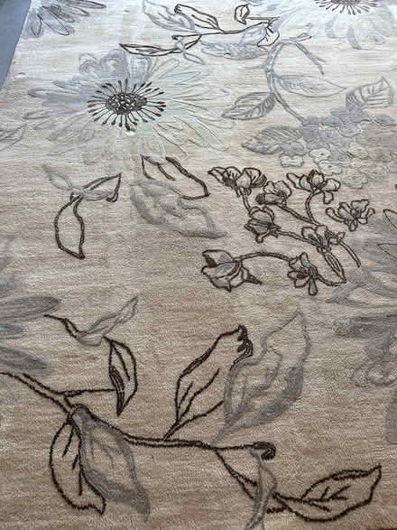 Photo of free 8 X -0 area rug (Wyoming) #2