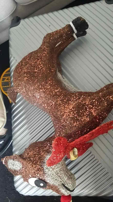 Photo of free Christmas reindeer (Sedgley DY3) #2