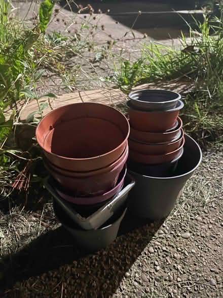 Photo of free Nursery garden pots (S11) #1