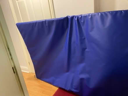 Photo of free Gym / Crash Mat (Heath) #3