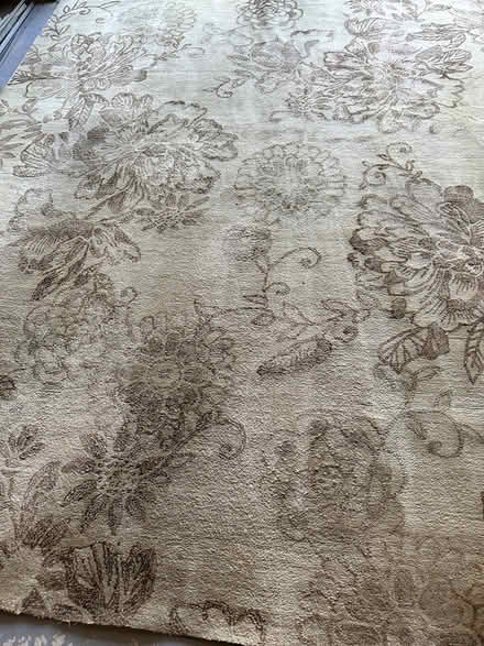 Photo of free Area Rug. 8 X 10 (Wyoming) #2