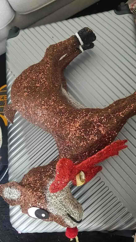 Photo of free Christmas reindeer (Sedgley DY3) #1