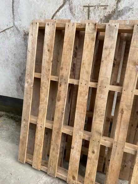 Photo of free Two wooden pallets (Wandsworth, SW18) #1