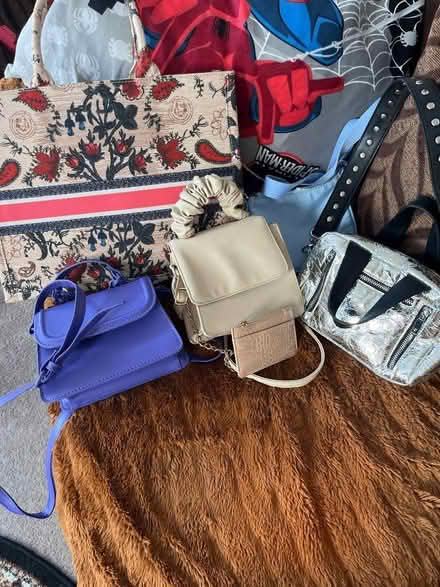 Photo of free Assorted handbags (Prenton CH43) #1