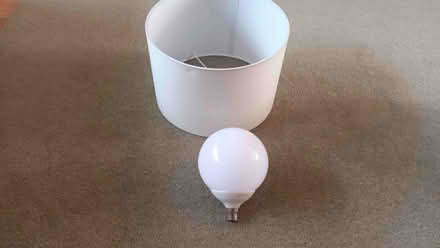 Photo of free Lamp shades and LED Globe lights (Woodley RG5) #2