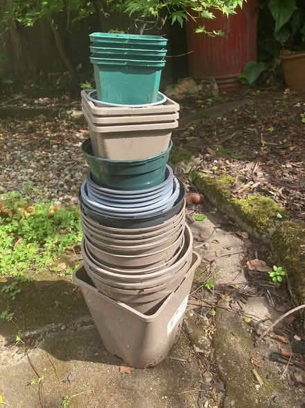 Photo of free Plant pots (Teddington TW11) #1