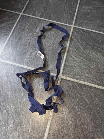 Photo of free Toddler harness (Harmans Water RG12) #1