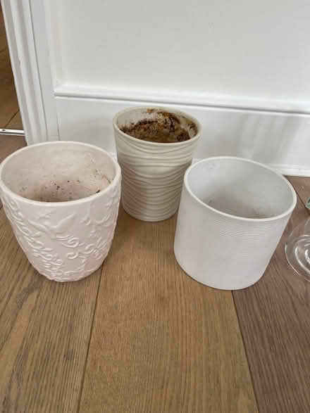Photo of free 3 pots (NW3, Glenmore Road) #1