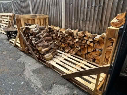 Photo of logs (Harlescott SY1) #1