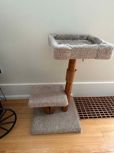 Photo of free Cat tree (Magnolia, Seattle) #1