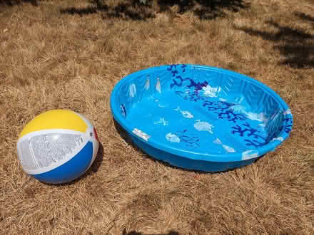 Photo of free Kid pool and beach ball (Maple Leaf Seattle) #1