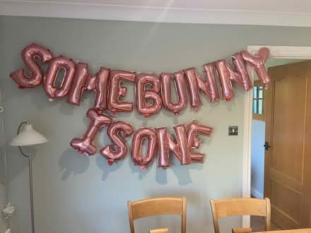 Photo of free 1 year old birthday balloons (Bicester Fringford) #1
