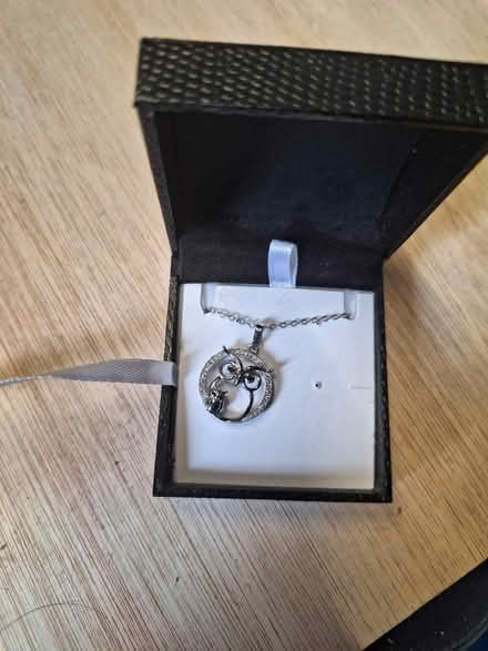 Photo of free Pretty owl necklace (PE2) #1
