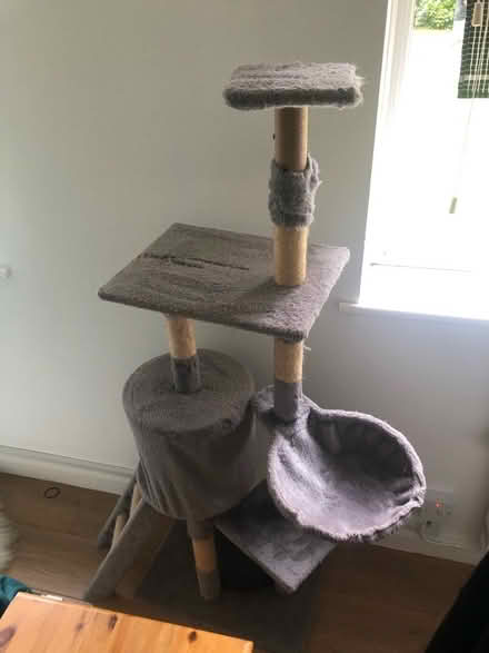Photo of free Used cat tree (RH12) #1