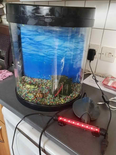 Photo of free Fish tank and accessories (St helens) #2