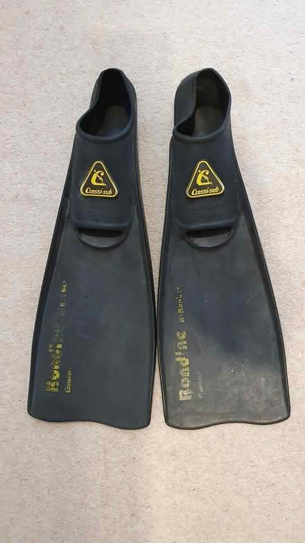 Photo of free fins / flippers (Ashtead) #1